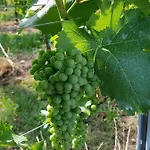 Frascje Dai Spadons Farmház Pradamano