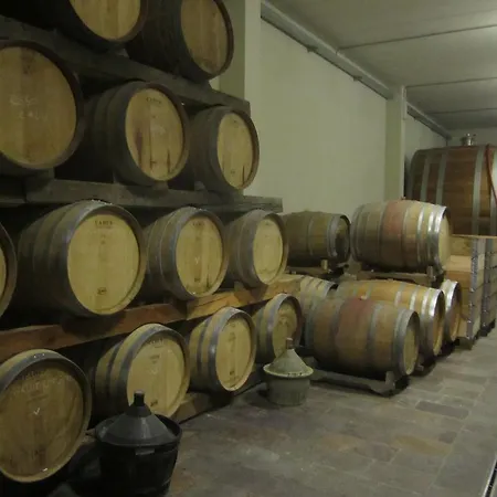 Frascje Dai Spadons *