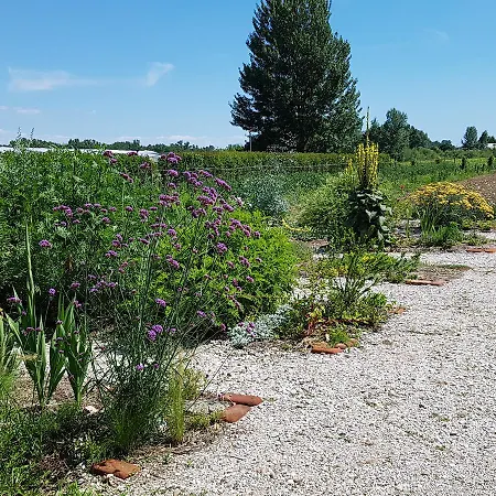 Frascje Dai Spadons * Pradamano